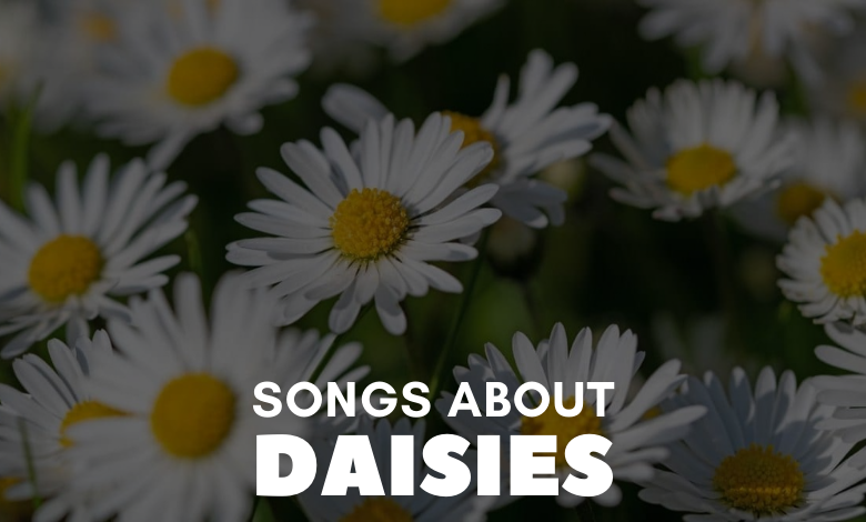 songs about daisies