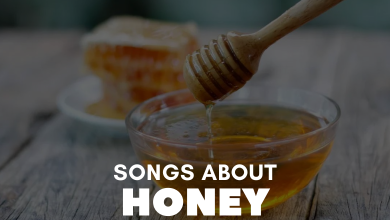 songs about honey