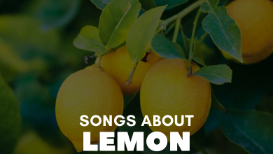 songs about lemon
