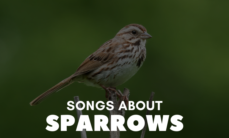 songs about sparrows