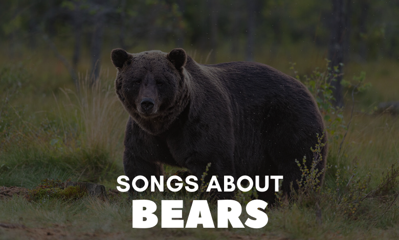 Songs About Bears