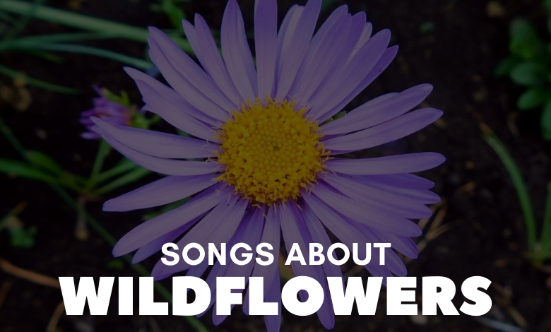 Songs About Wildflowers