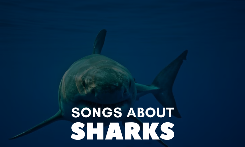 Songs About Sharks