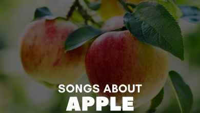 Songs About Apple