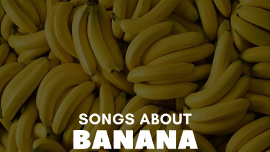 Songs About Banana