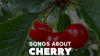 Songs About Cherry