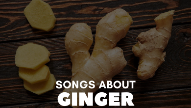 songs about ginger