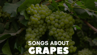 Songs About Grapes