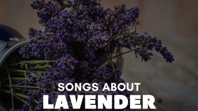 Songs About Lavender