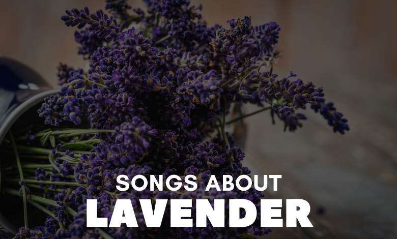 Songs About Lavender