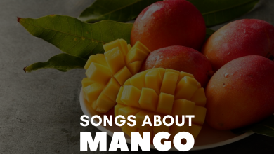 Songs About Mango