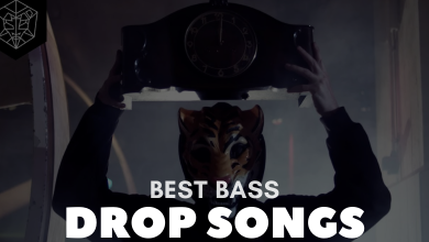 Best Bass Drop Songs