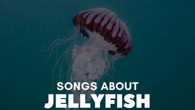Songs About Jellyfish