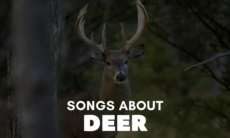 Songs About Deer