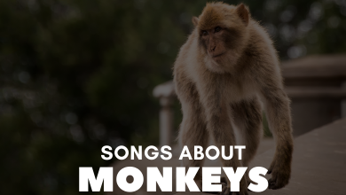 songs about monkeys