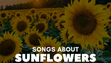 Songs About Sunflowers