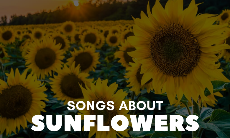 Songs About Sunflowers