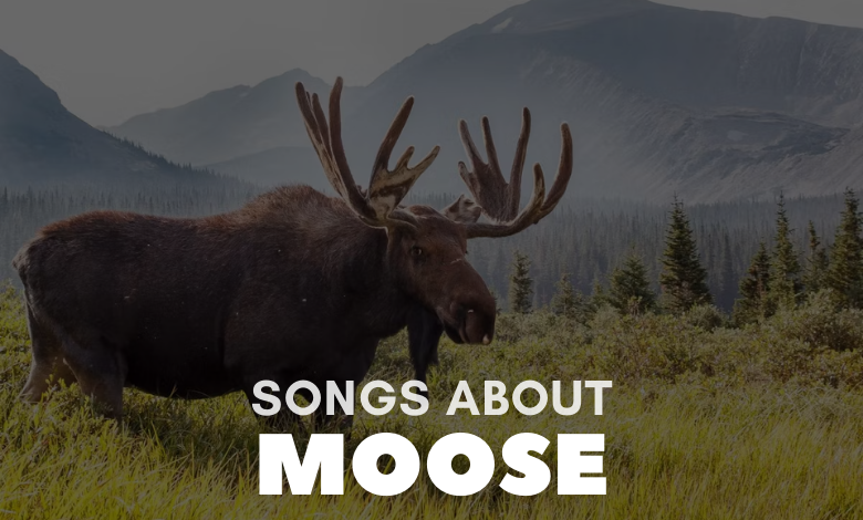 Songs About Moose