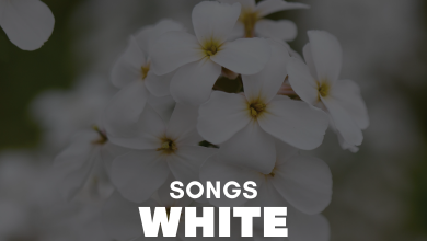 Songs With White In The Title