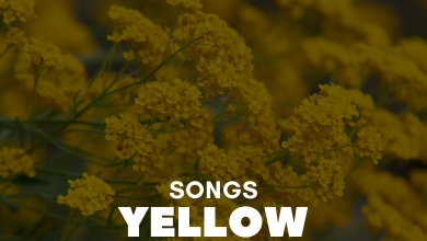 Songs With Yellow In The Title