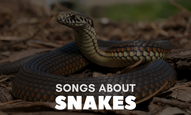 Songs About Snakes
