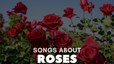 Songs About Roses